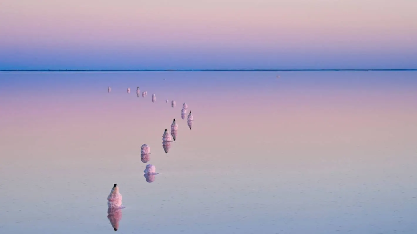 Lake Tyrrell, Victoria: The pink lake that put a dying town on the map