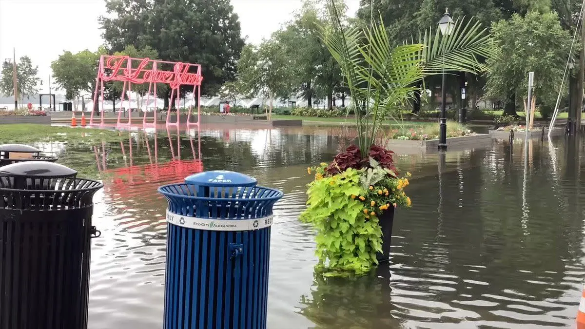 7th-Grade Aspiring Meteorologist Documents Flooding in Alexandria’s Old Town